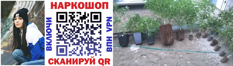 Сколько стоит Валдай ГАШИШ Амфетамин Галлюциногенные грибы Меф Канабис БУТИРАТ Alpha PVP