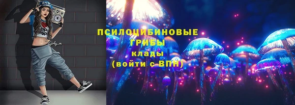 2c-b Алексин