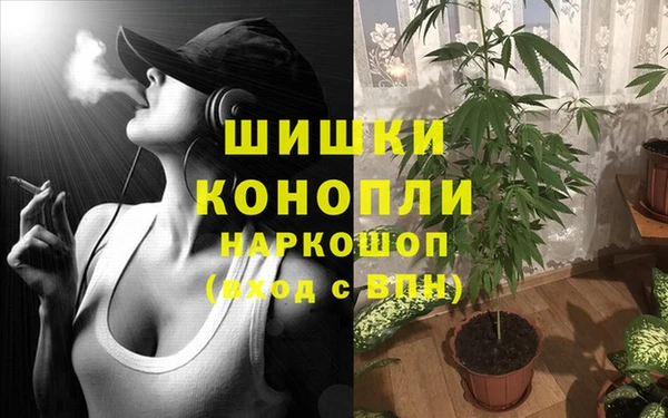ешки Арсеньев