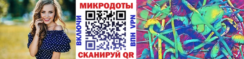 Псилоцибиновые грибы прущие грибы  kraken ССЫЛКА  Валдай 
