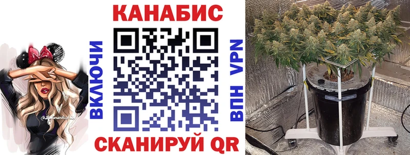 Бошки Шишки гибрид  Валдай 